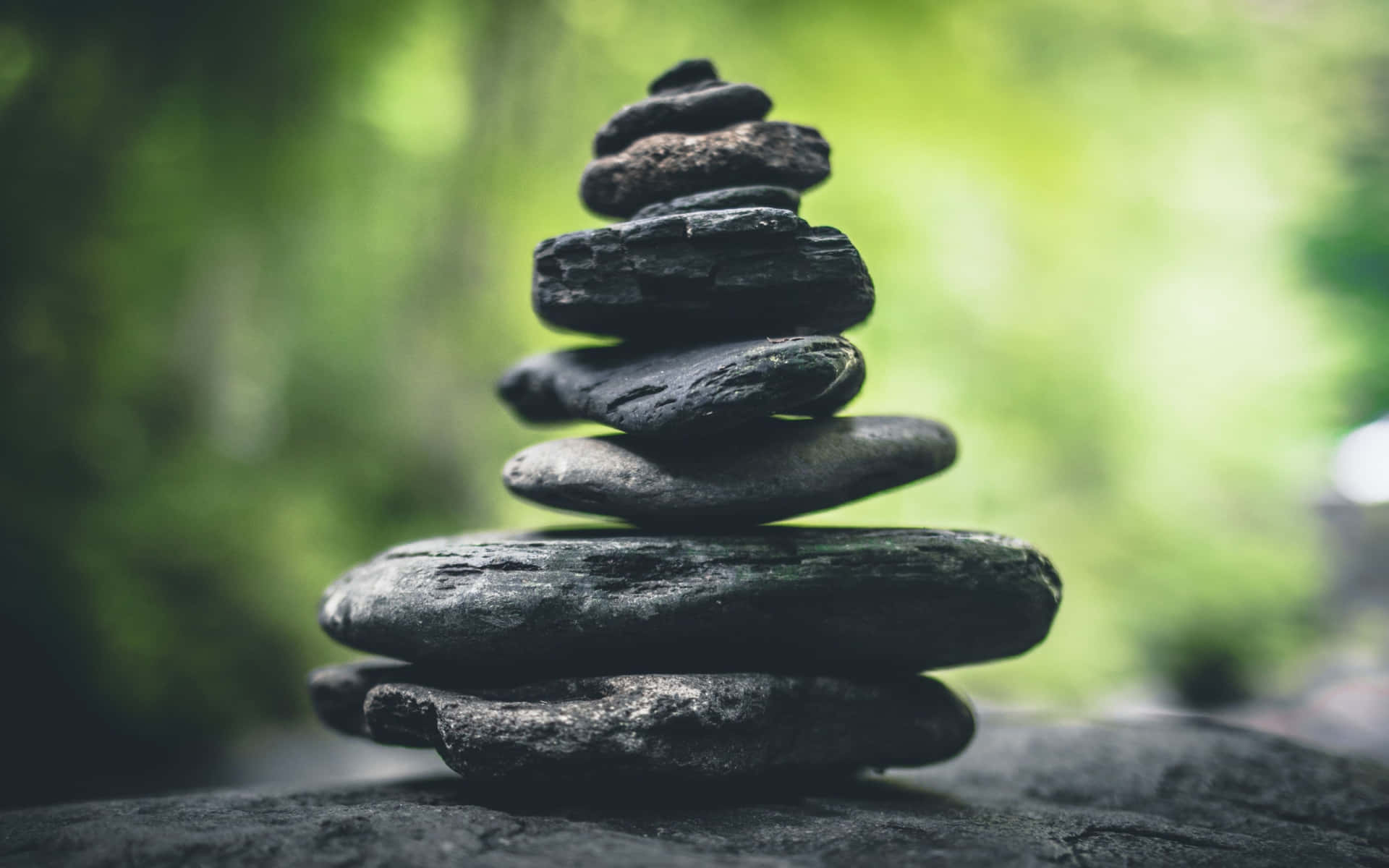Tragacalma E Equilíbrio Para A Sua Vida Com Zen
