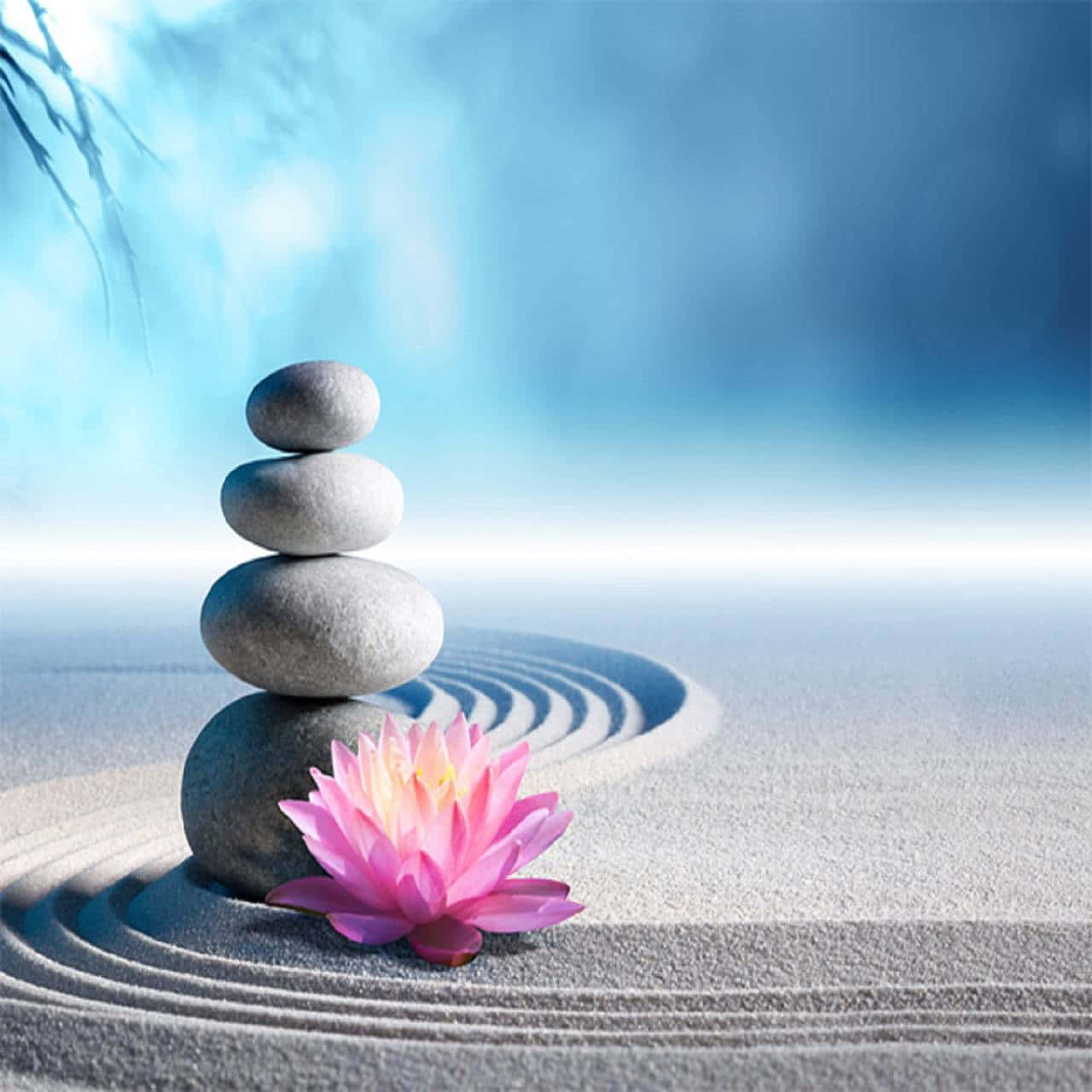 Find Peace in Zen