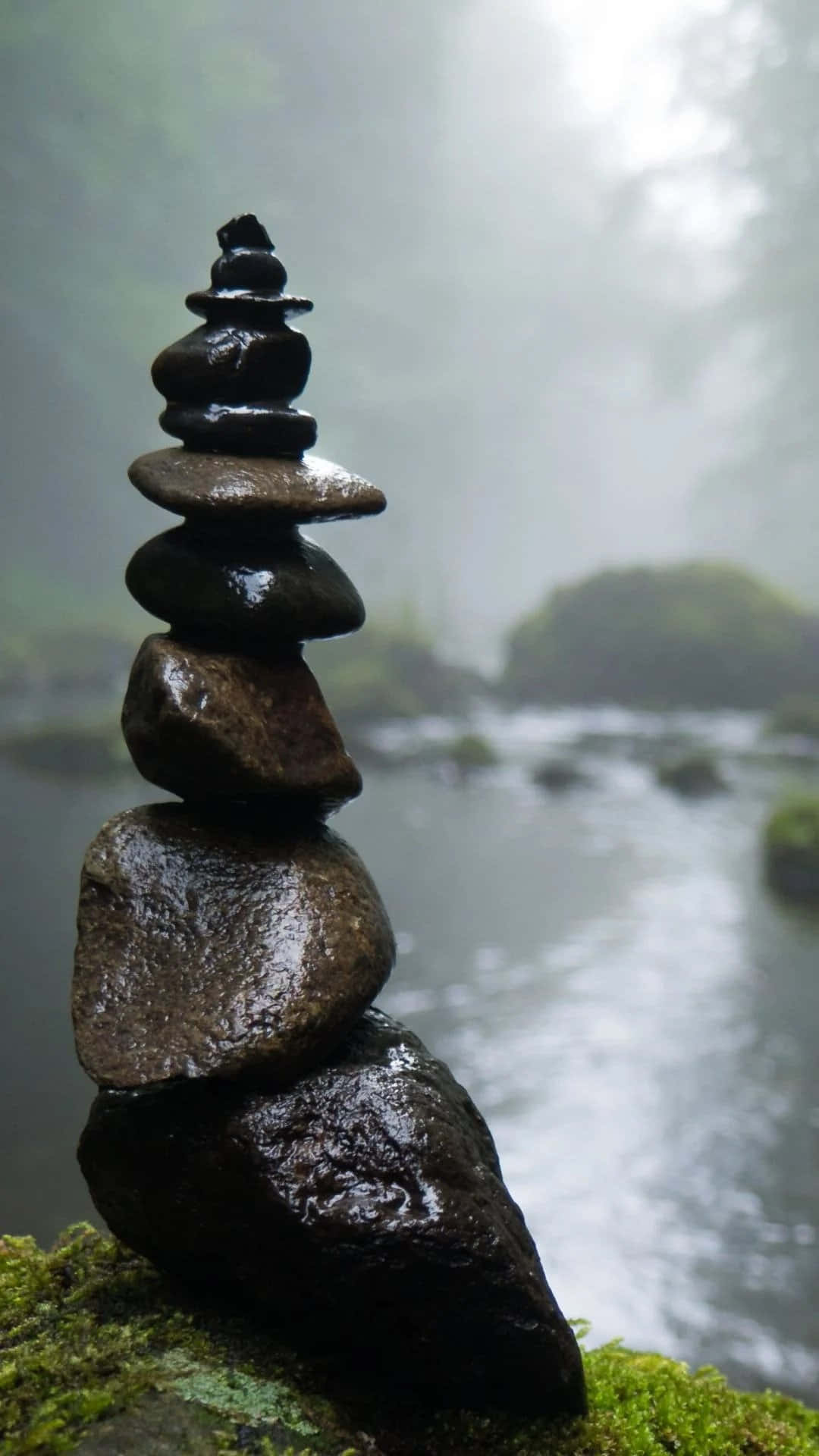 Conectese Com O Poder Do Zen