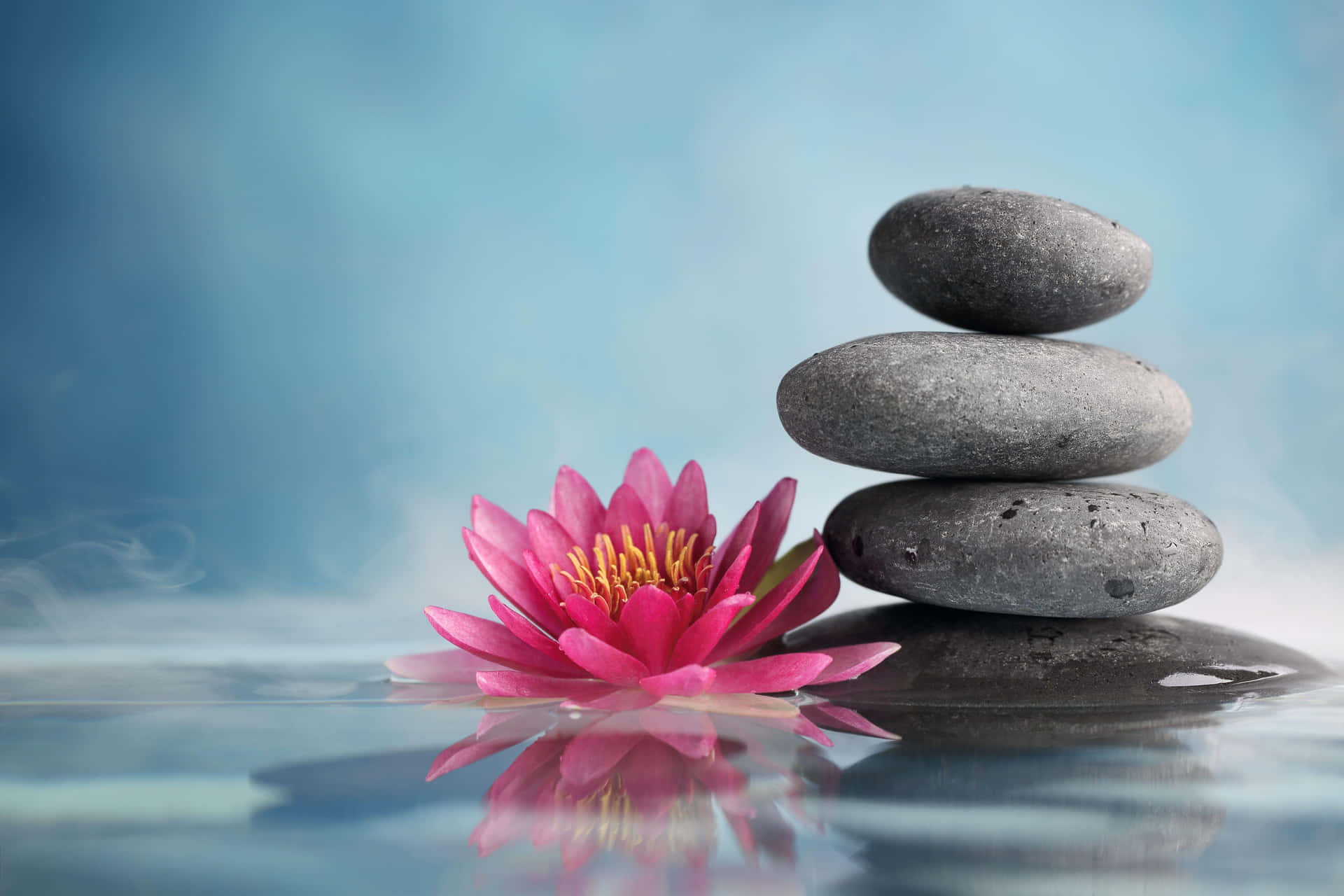 Zen Spa Balance Stonesand Water Lily Wallpaper