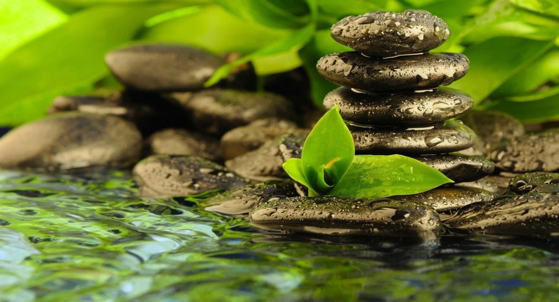 Zen Spa Stones Green Leaves Water Wallpaper
