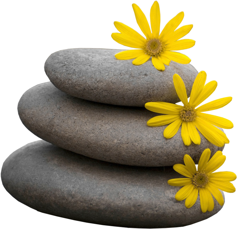 Zen Stones Yellow Flowers Balance PNG