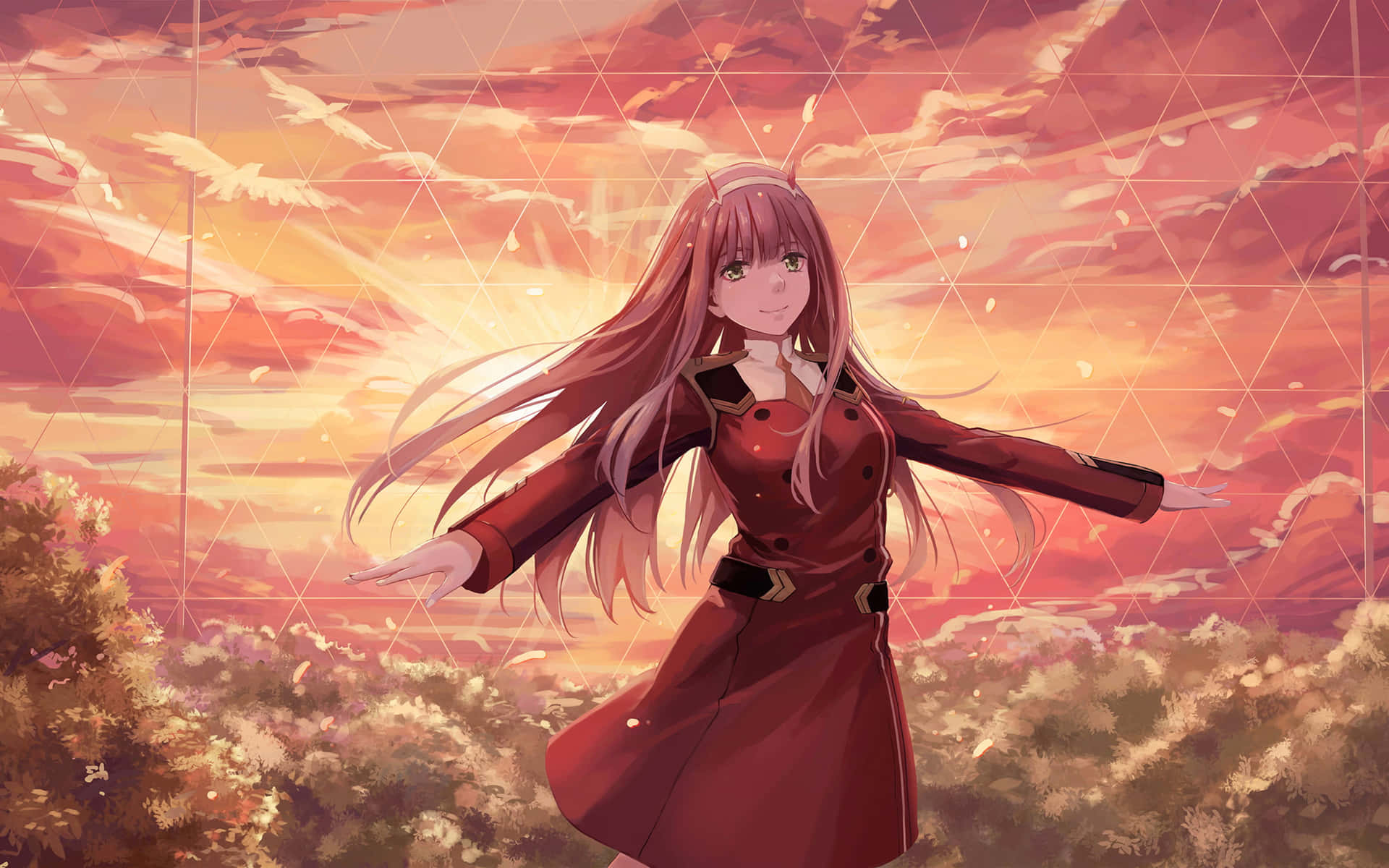 Zero Two Sunset Picture