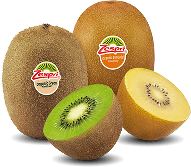 Zespri Kiwifruit Varieties New Zealand PNG