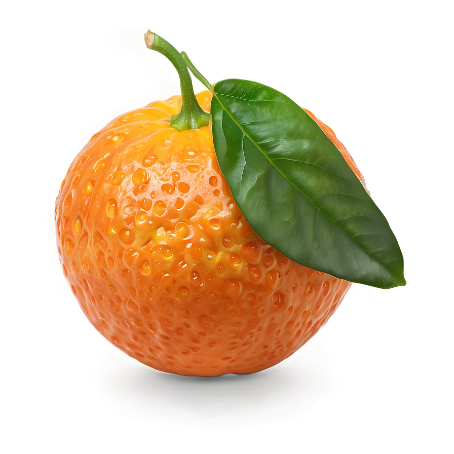 Download Zesty Clementine Png 98 | Wallpapers.com