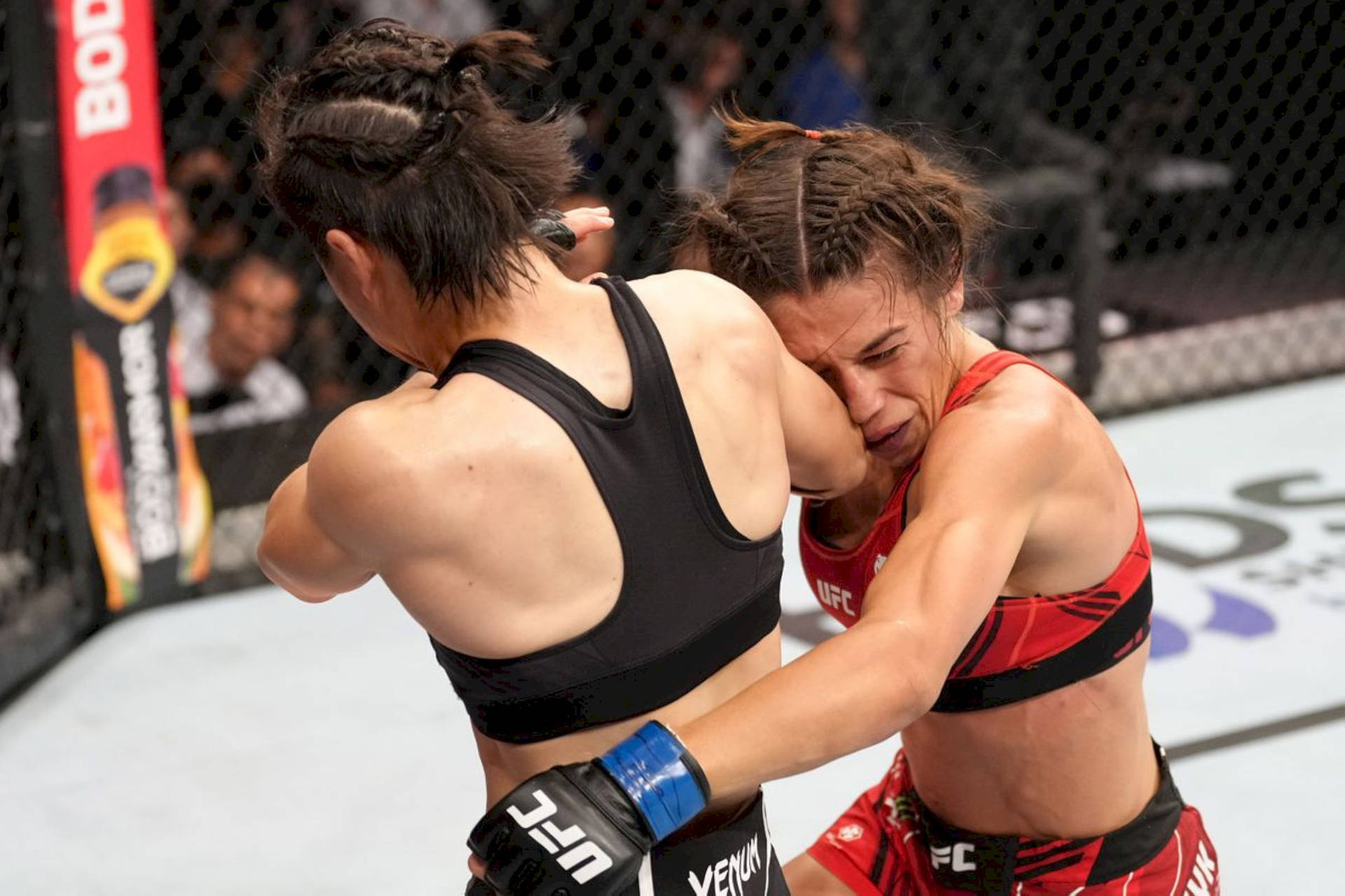 Zhang Weili og Joanna Jędrzejczyk trives stadig som UFC-mestre. Wallpaper