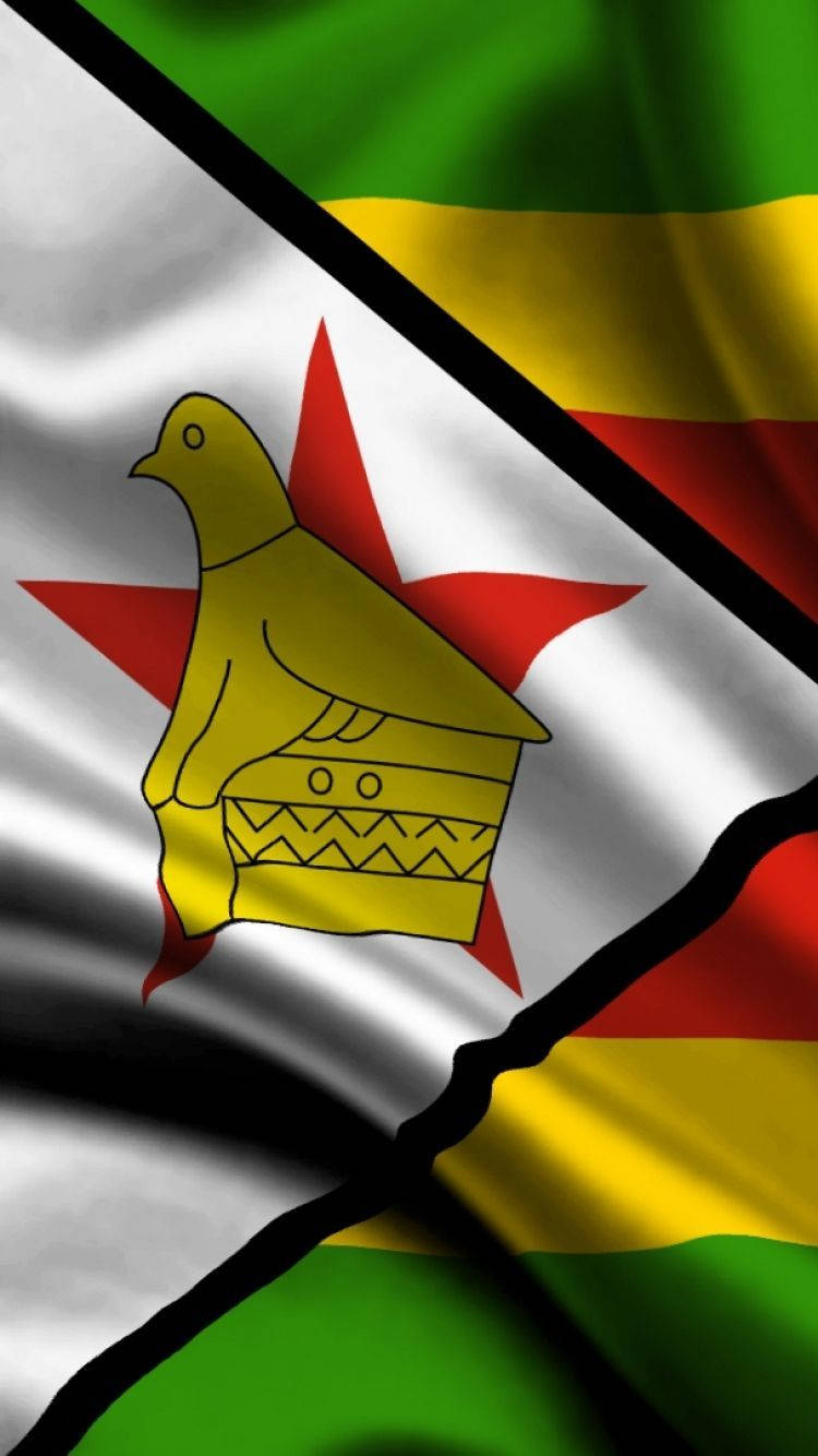 Zimbabwe Close-up Flag Background