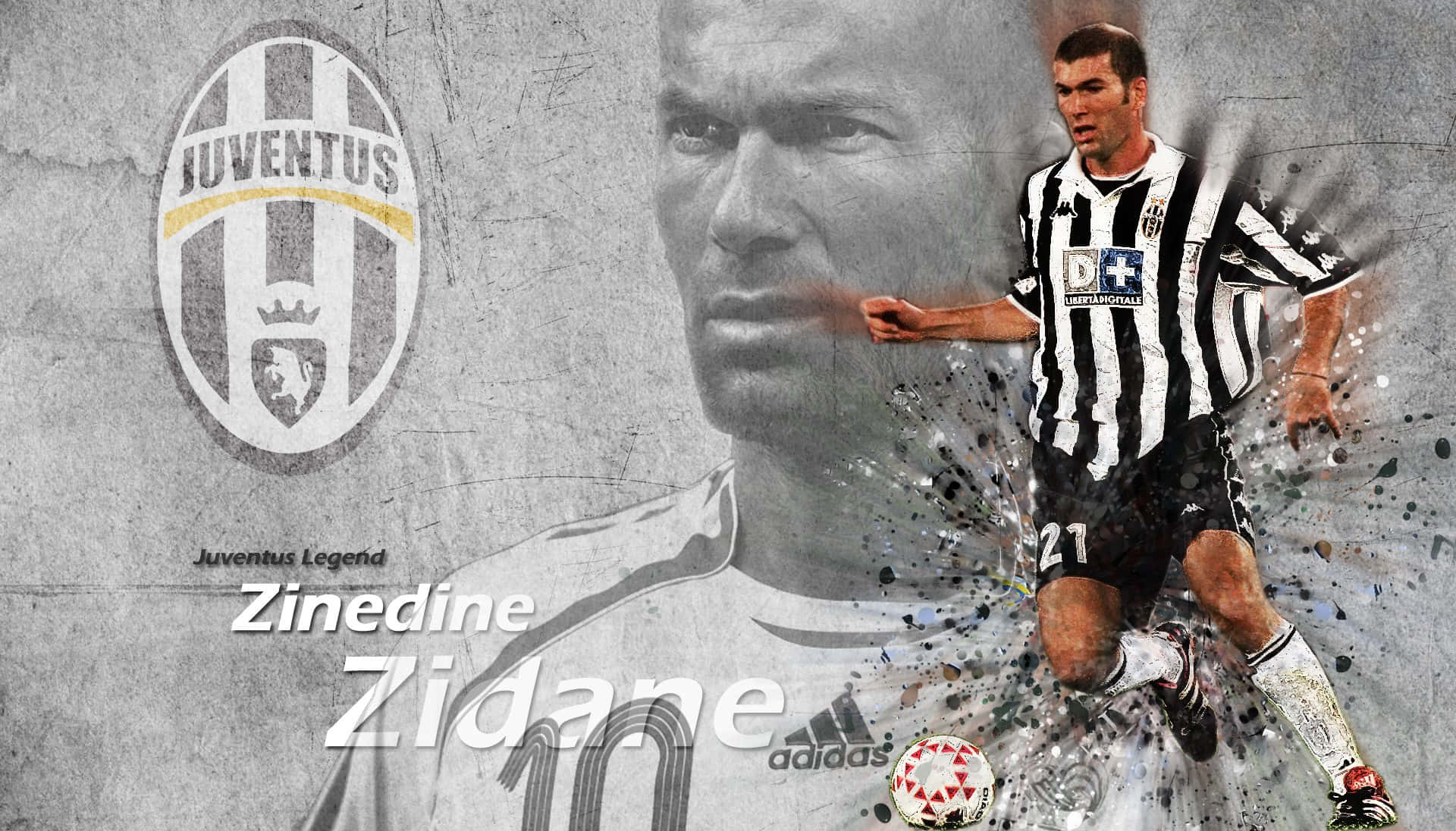Zinedine Zidane Juventus FC Fotografi Tapet Wallpaper