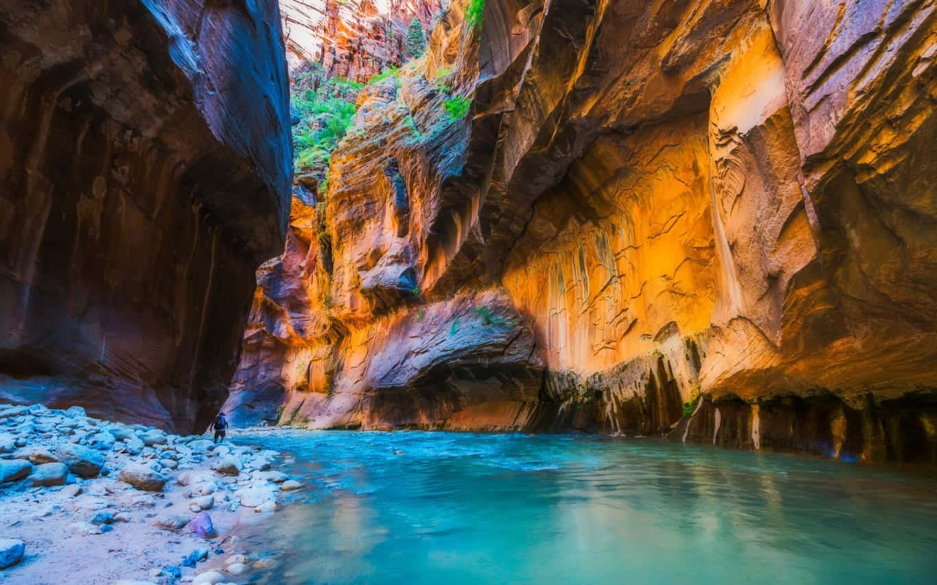 Zion Narrows River Canyon Walk Wallpaper