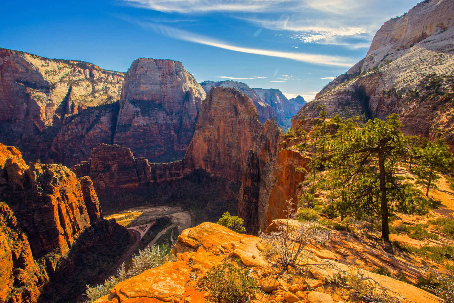 Zion National Park During The Summer Wallpaper