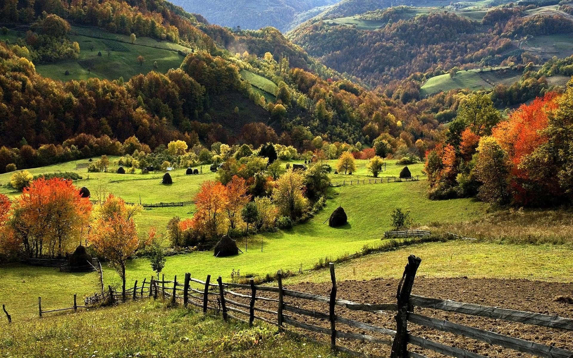 Zlatibor Serbia Countryside In Autumn Background