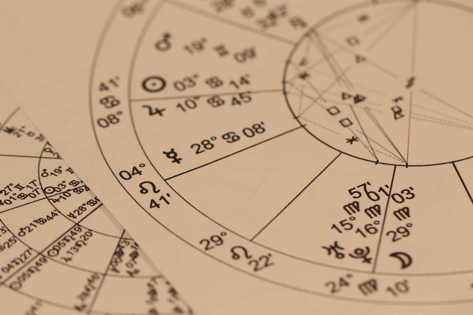 Zodiac Signs Astrology Divination Chart Wallpaper