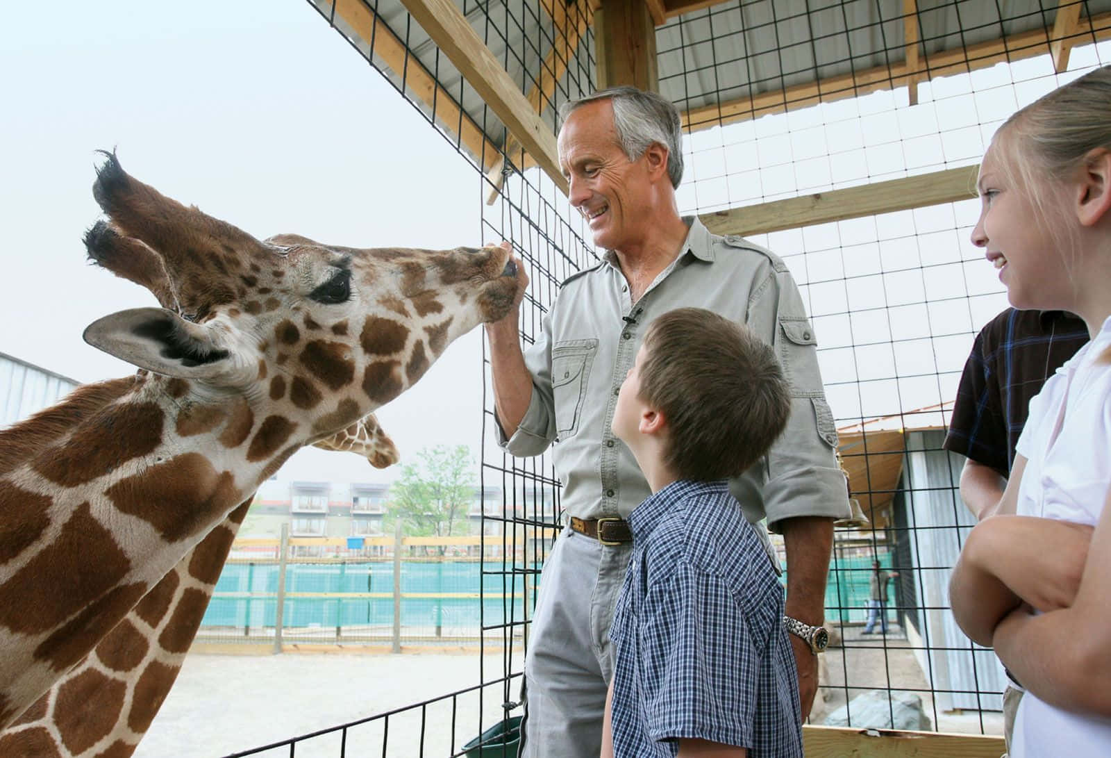 Mand Holder Næse af Zoo Dyr Giraf Billeder Tapet