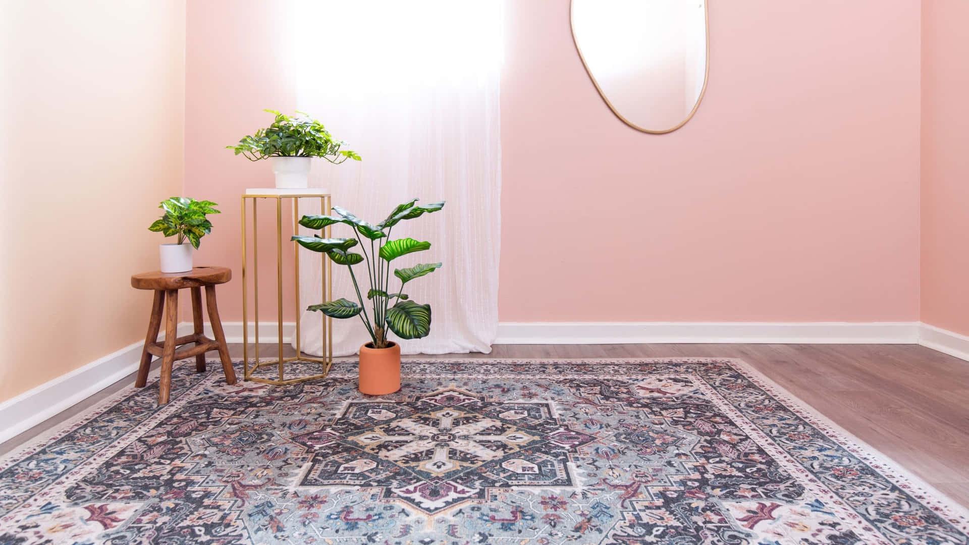 Pink Wall With Grey Rug Zoom Background