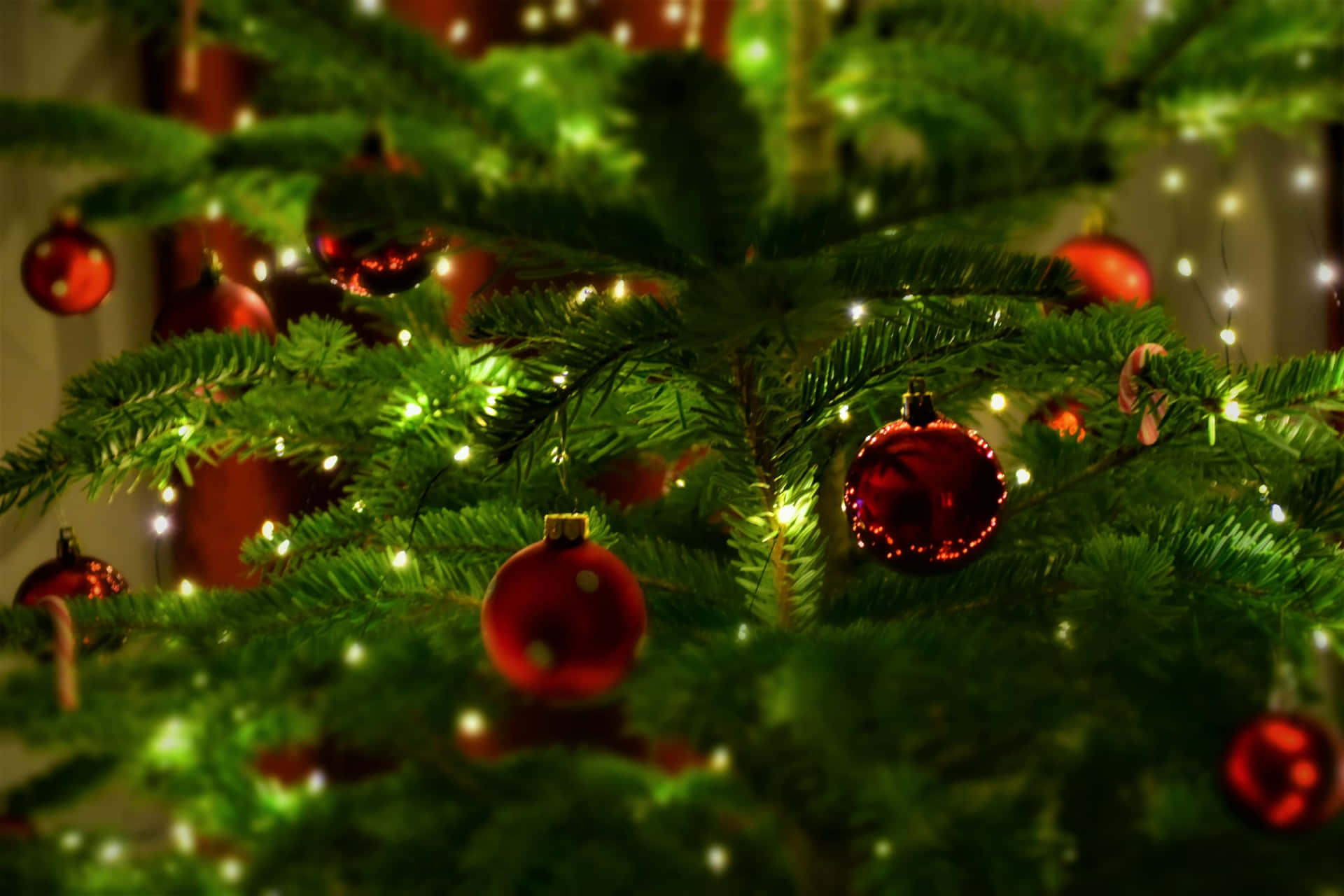 Mesmerizing Lights Zoom Christmas Background
