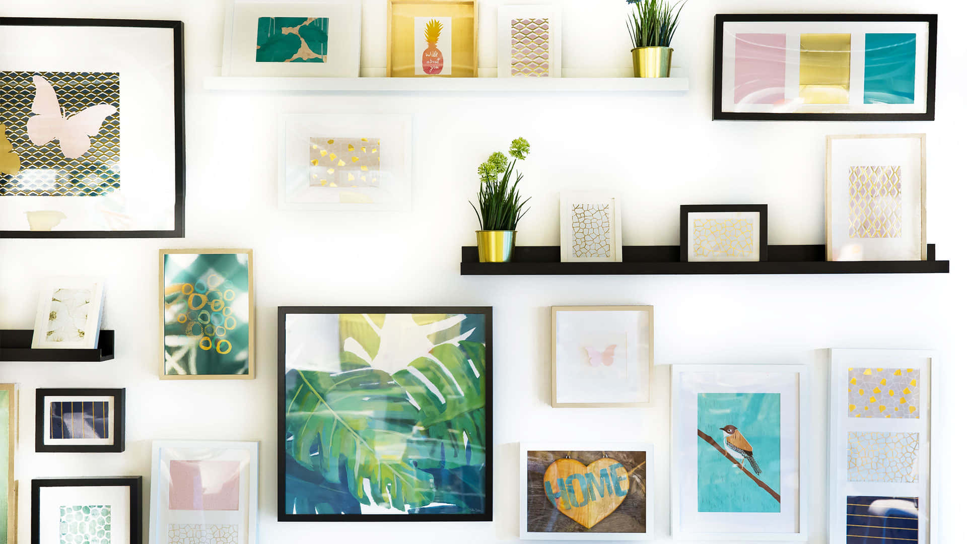 A Wall With Framed Pictures And Plants