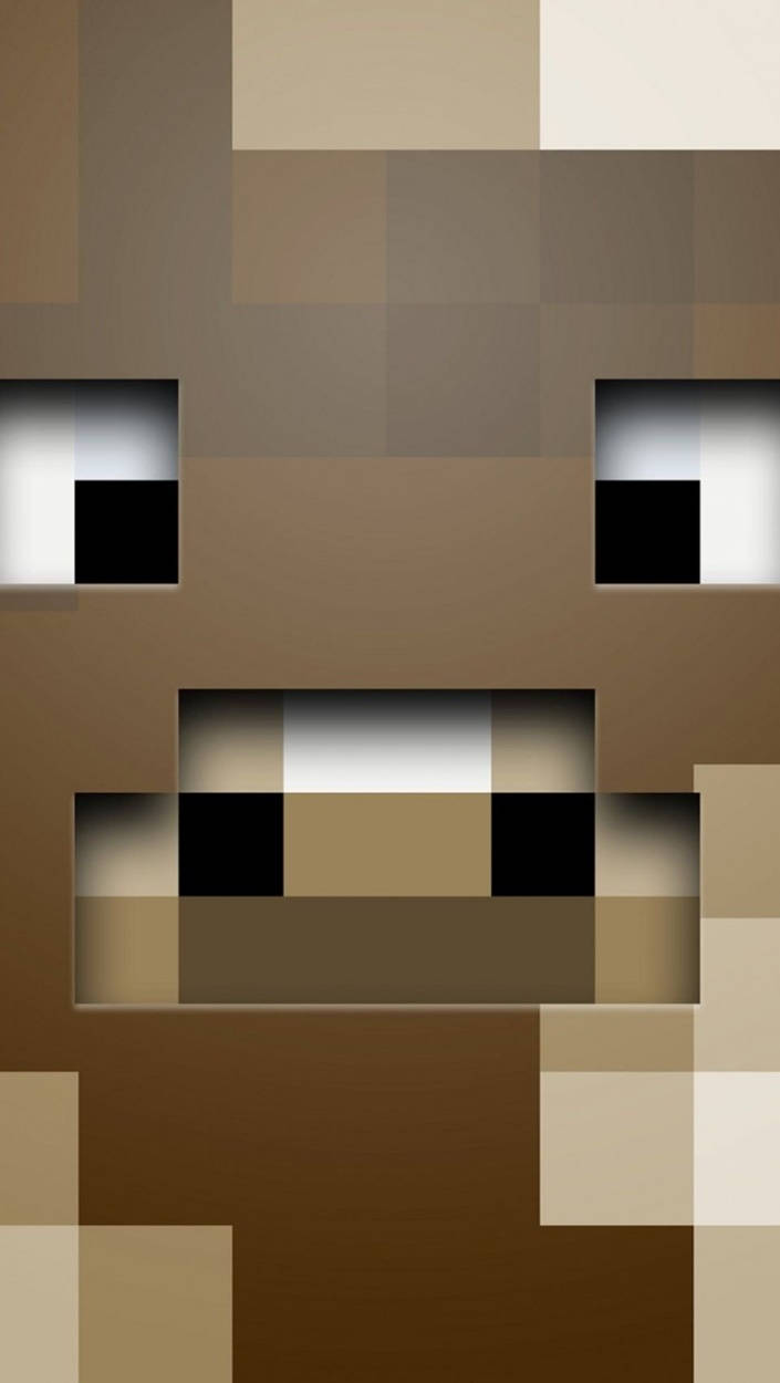 Zoom Steve Face Minecraft iPhone Wallpaper