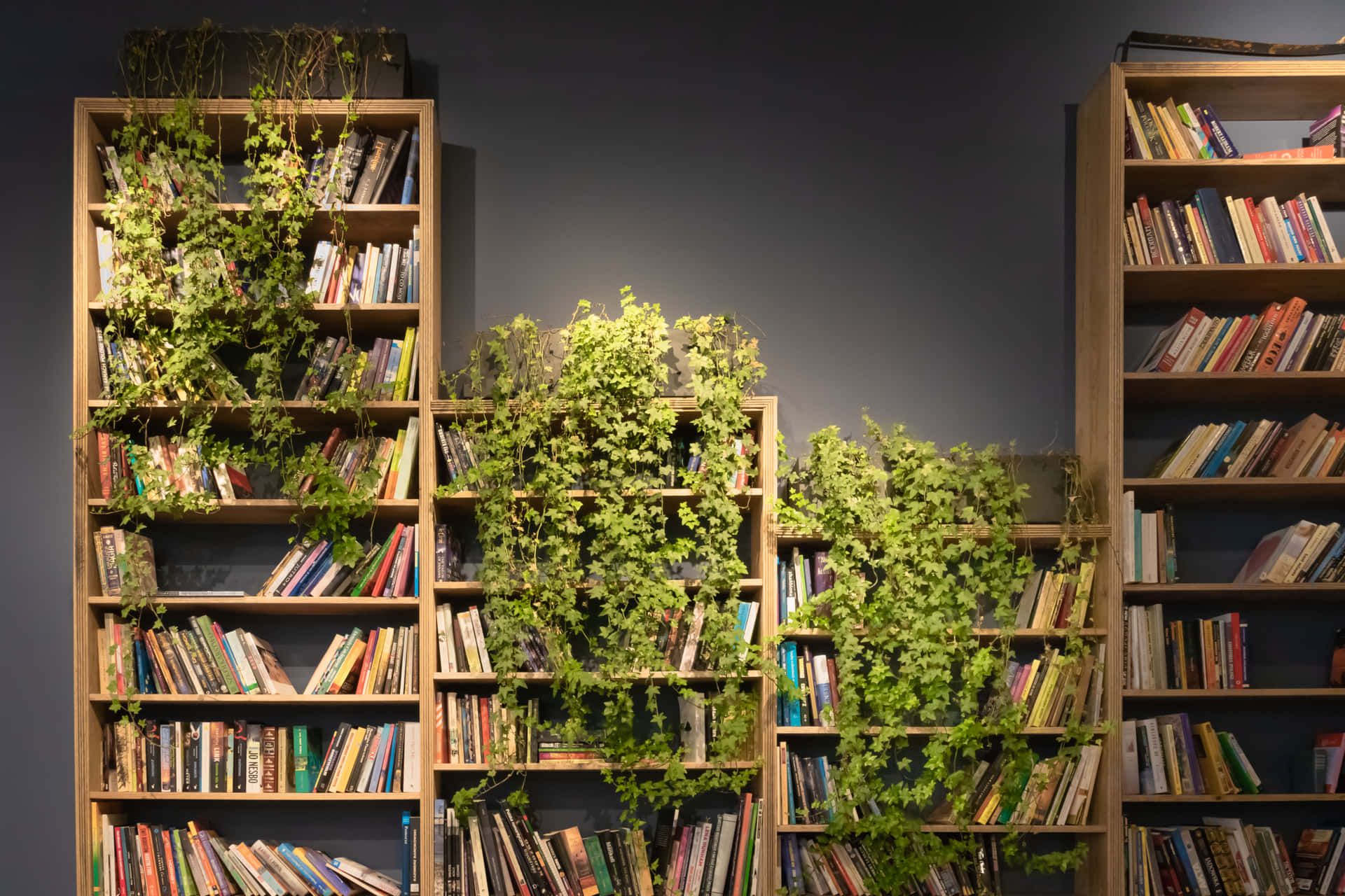 A Room With Bookshelves Covered In Plants