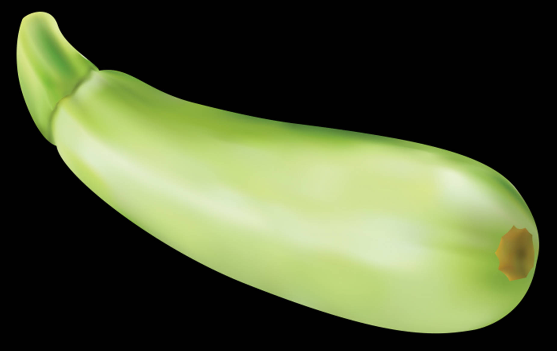 Zucchini Courgette English Variety Wallpaper