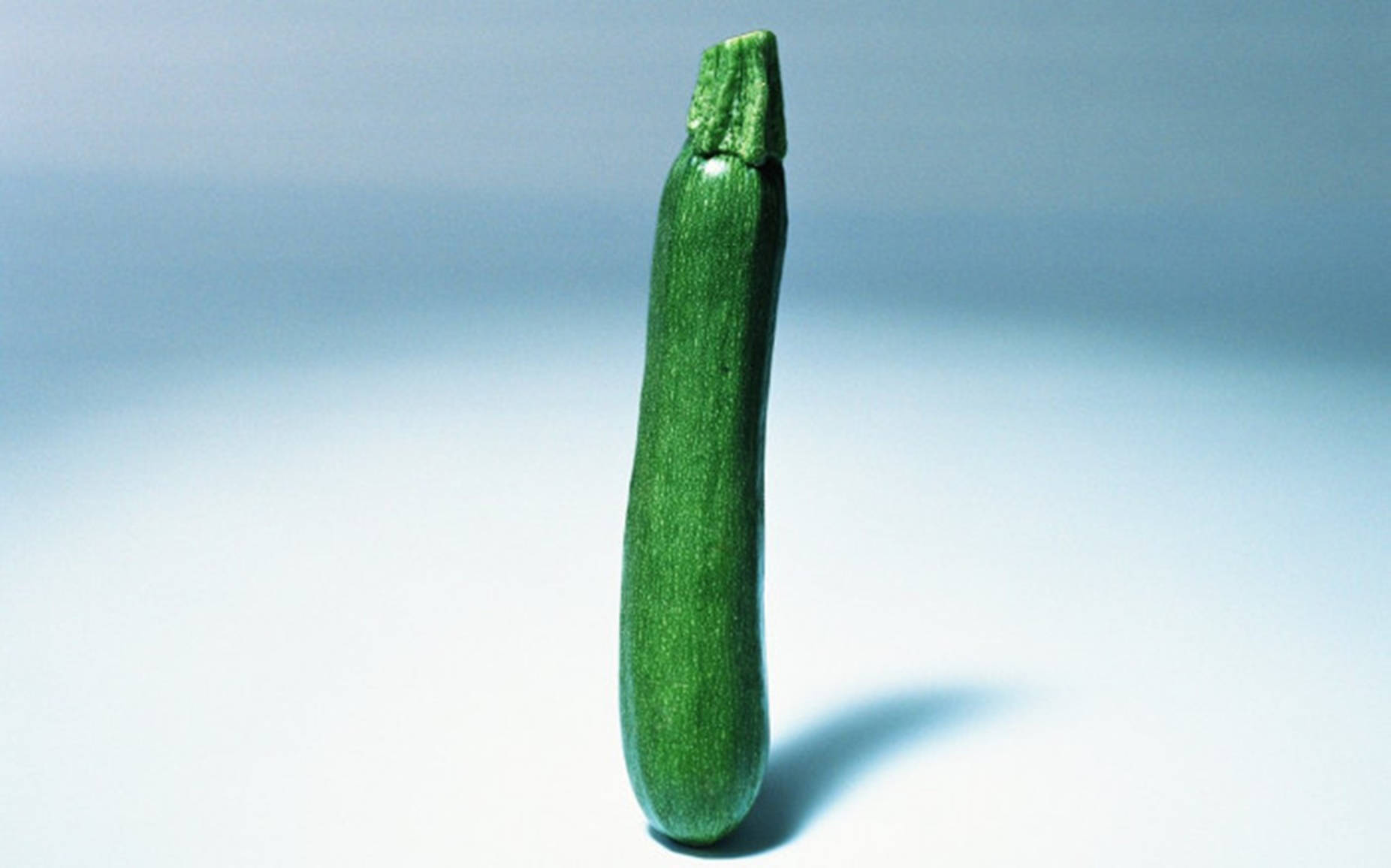 Zucchiniblühendes Gemüse Wallpaper
