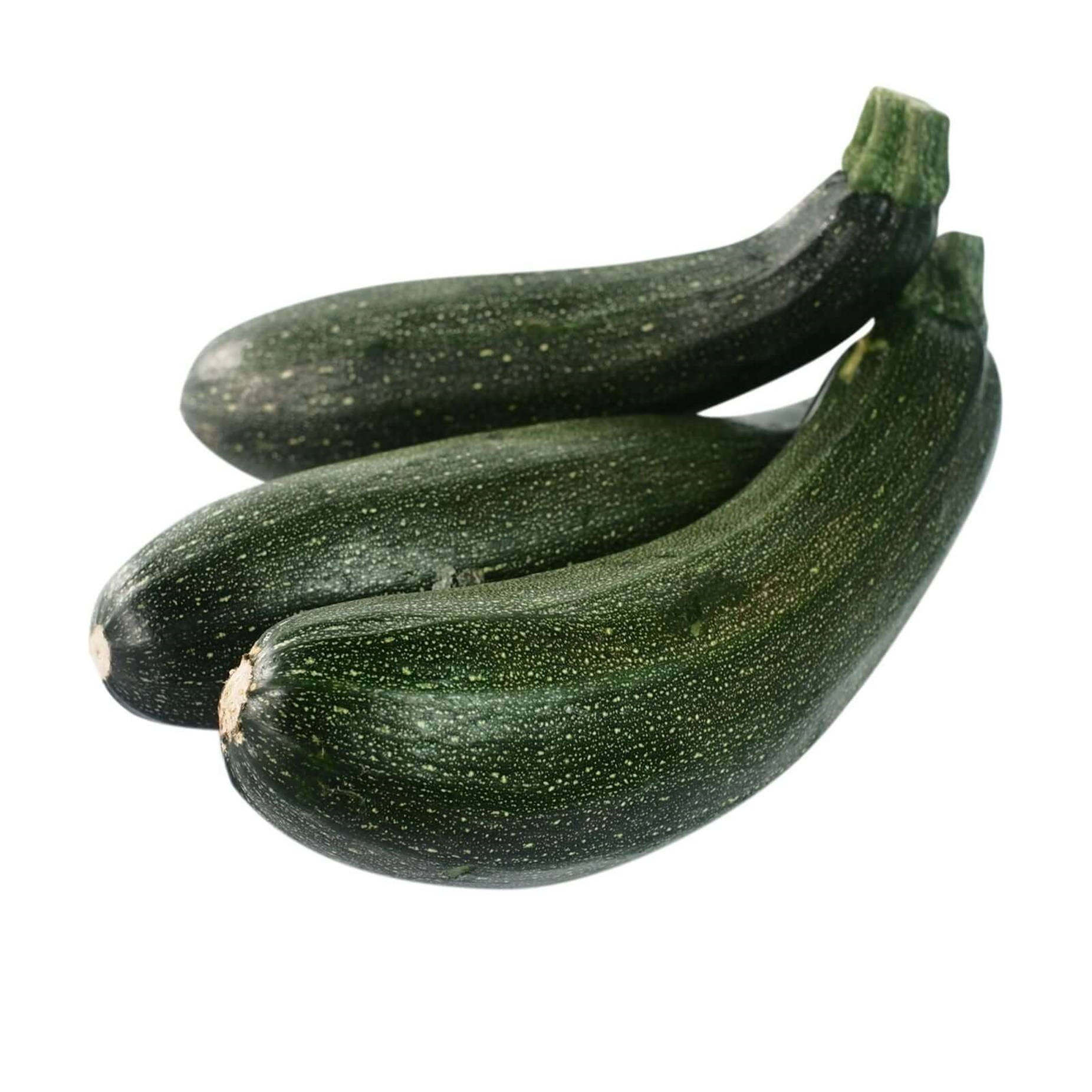 Zucchiniblühendes Gemüse Pflanze. Wallpaper