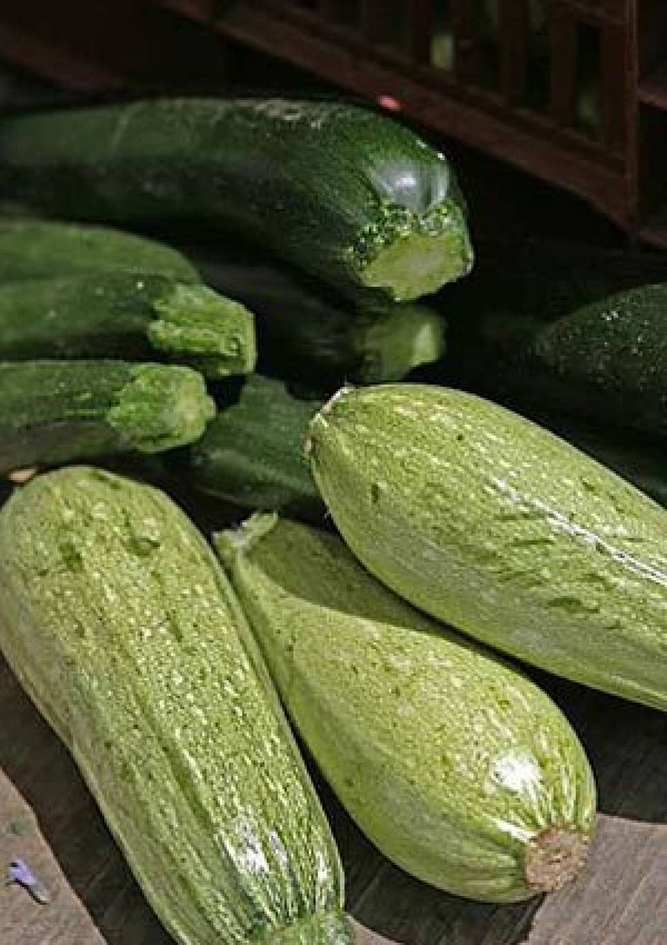 Freshly Harvested Zucchini Ronde De Nice French Variety Wallpaper