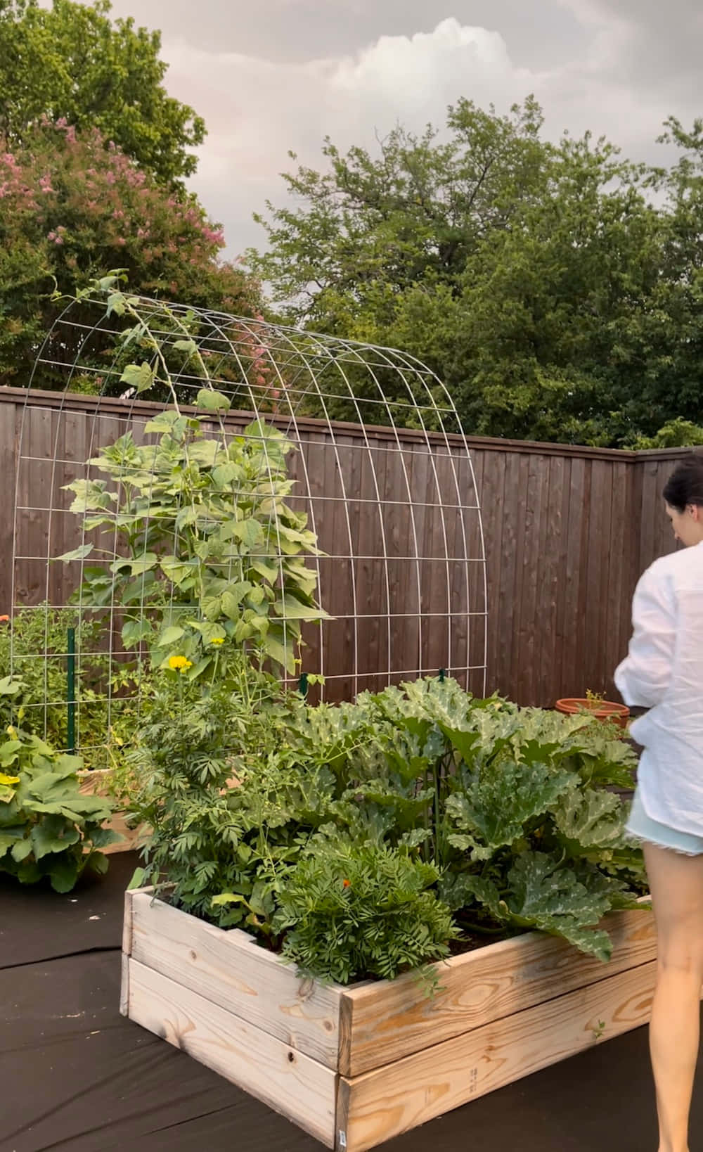 A Woman Is Standing In A Raised Garden Bed
