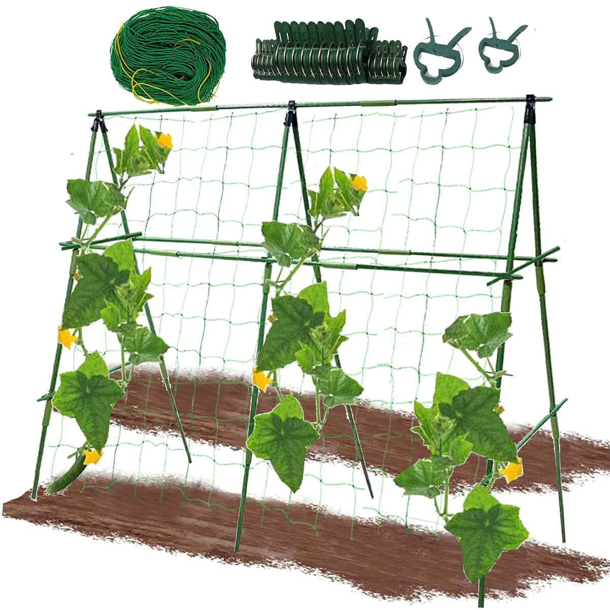 A Garden Trellis With A Cucumber Growing On It