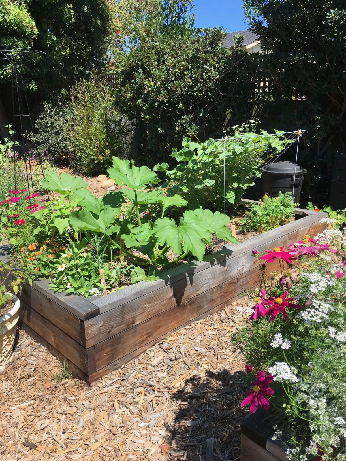 A Wooden Raised Bed