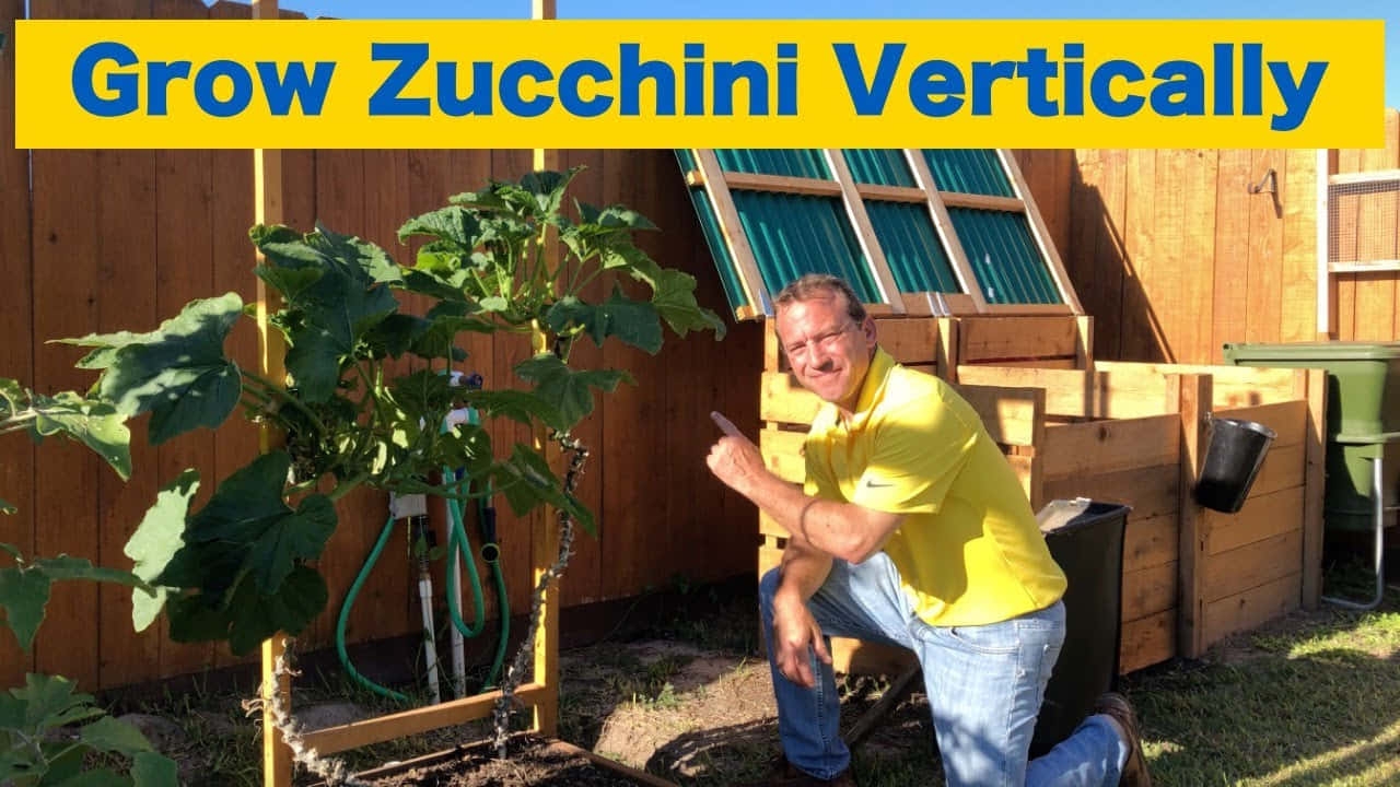 Grow Zucchini Vertically