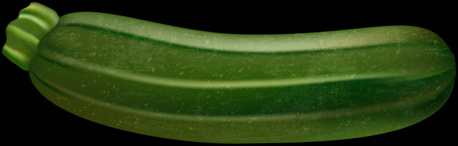 Zucchini Vining Vegetable Plant Wallpaper