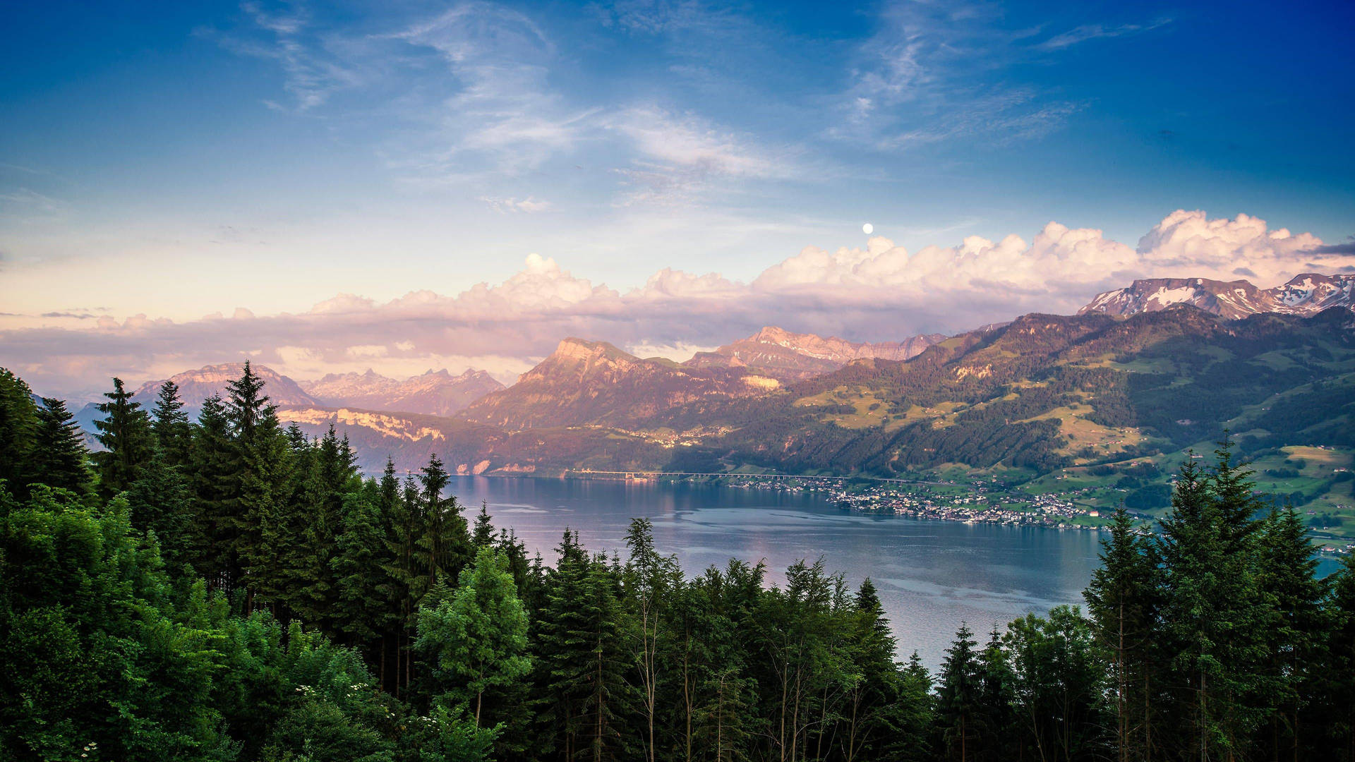 Zurich Forest Lake