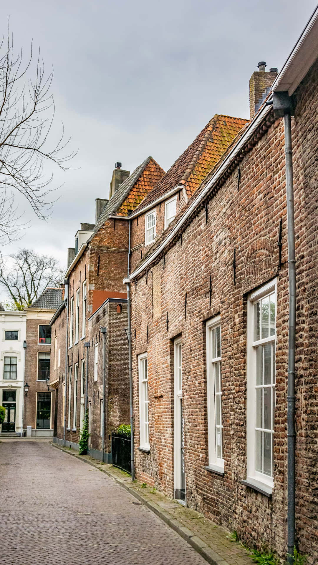 Zwolle Historic Street View Wallpaper