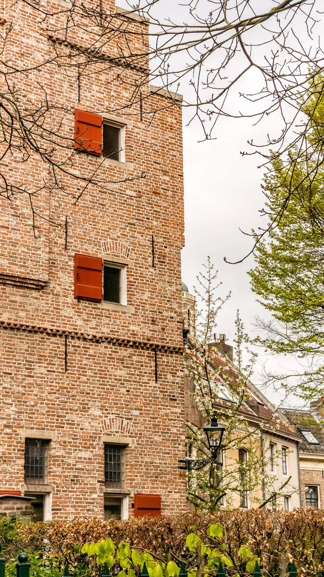 Zwolle Historic Towerand Houses Wallpaper