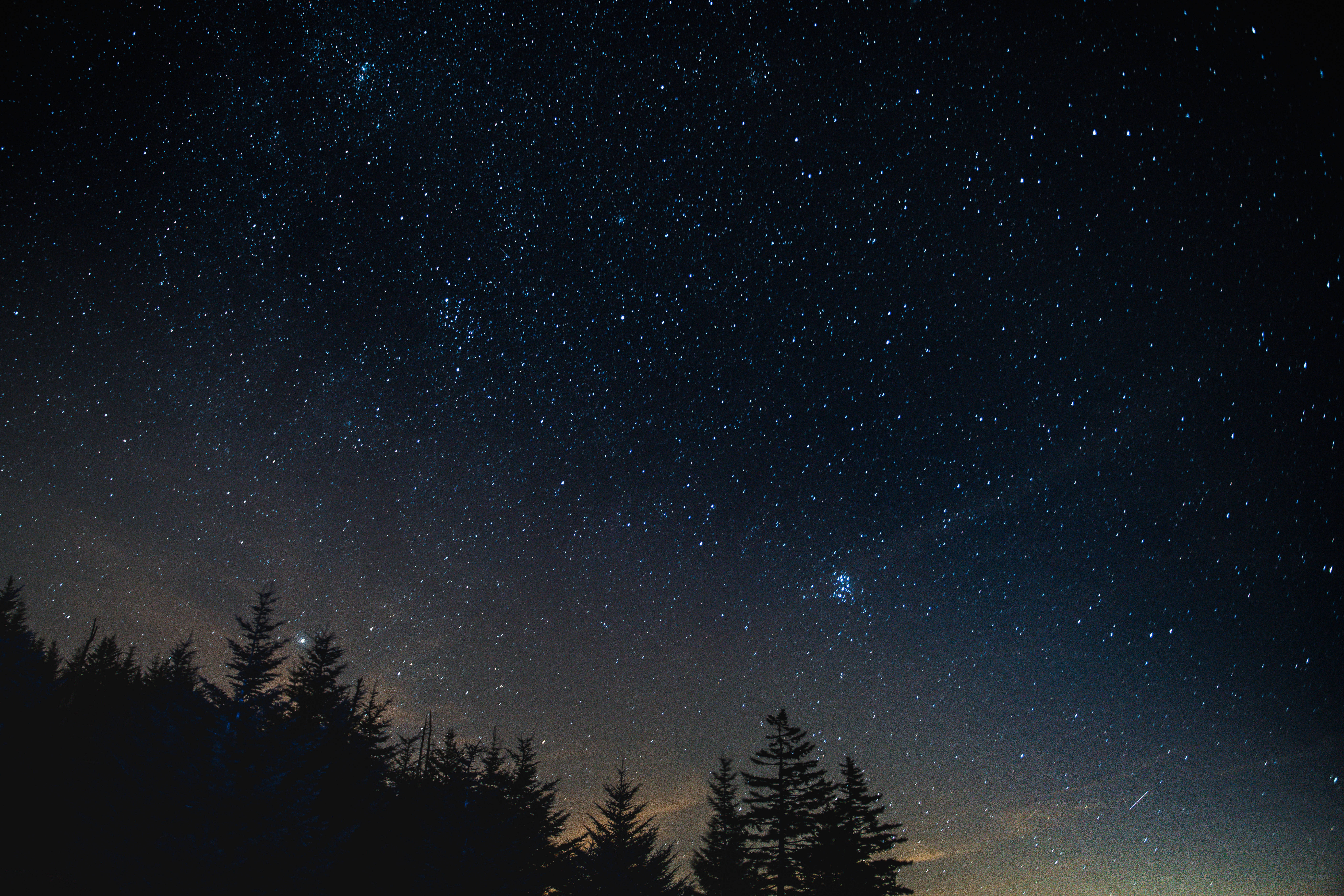 Starry sky in the forest, forest, stars, 1366x768, sky, HD wallpaper