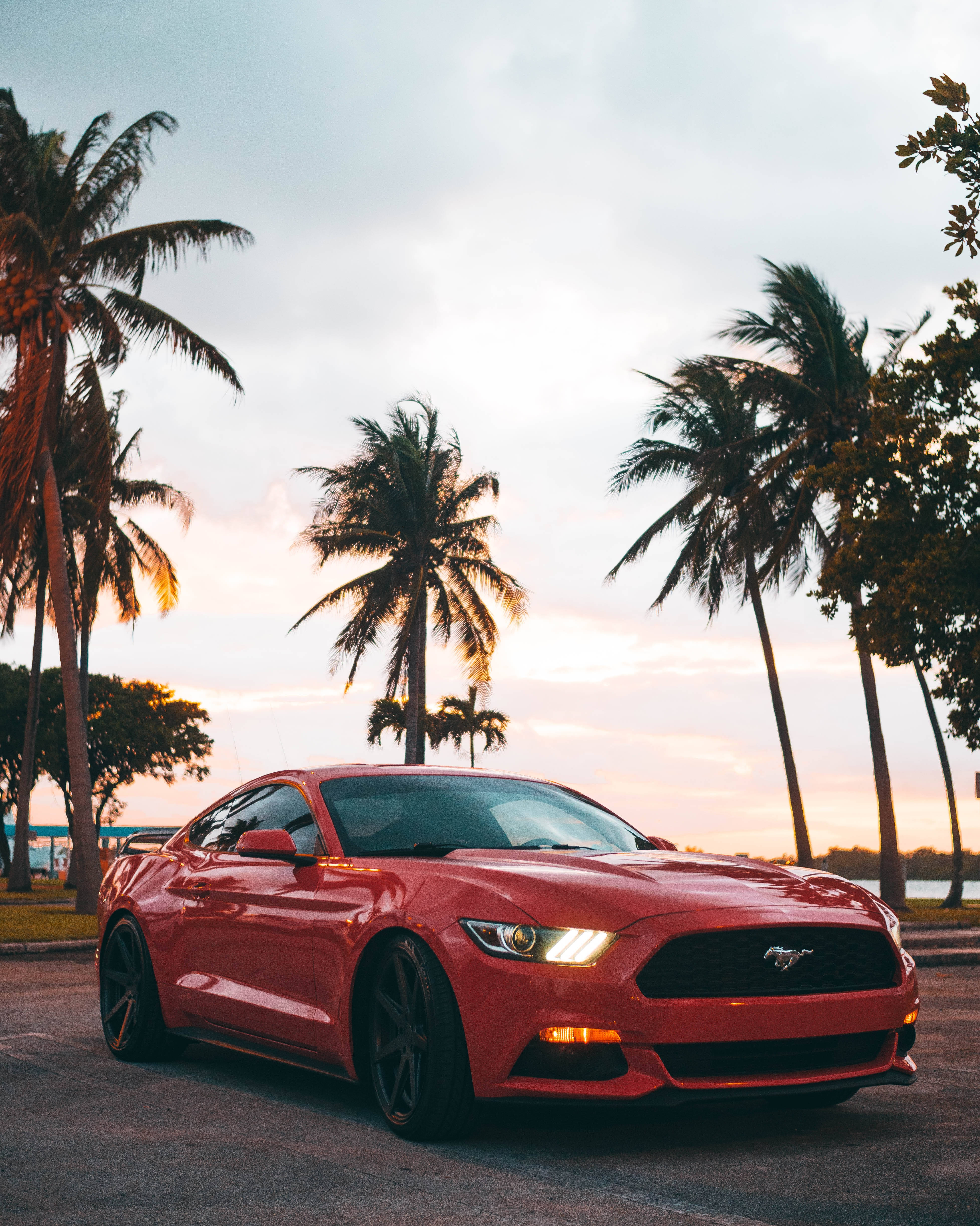 2024 Ford Mustang GT Phone Wallpaper 002  WSupercars