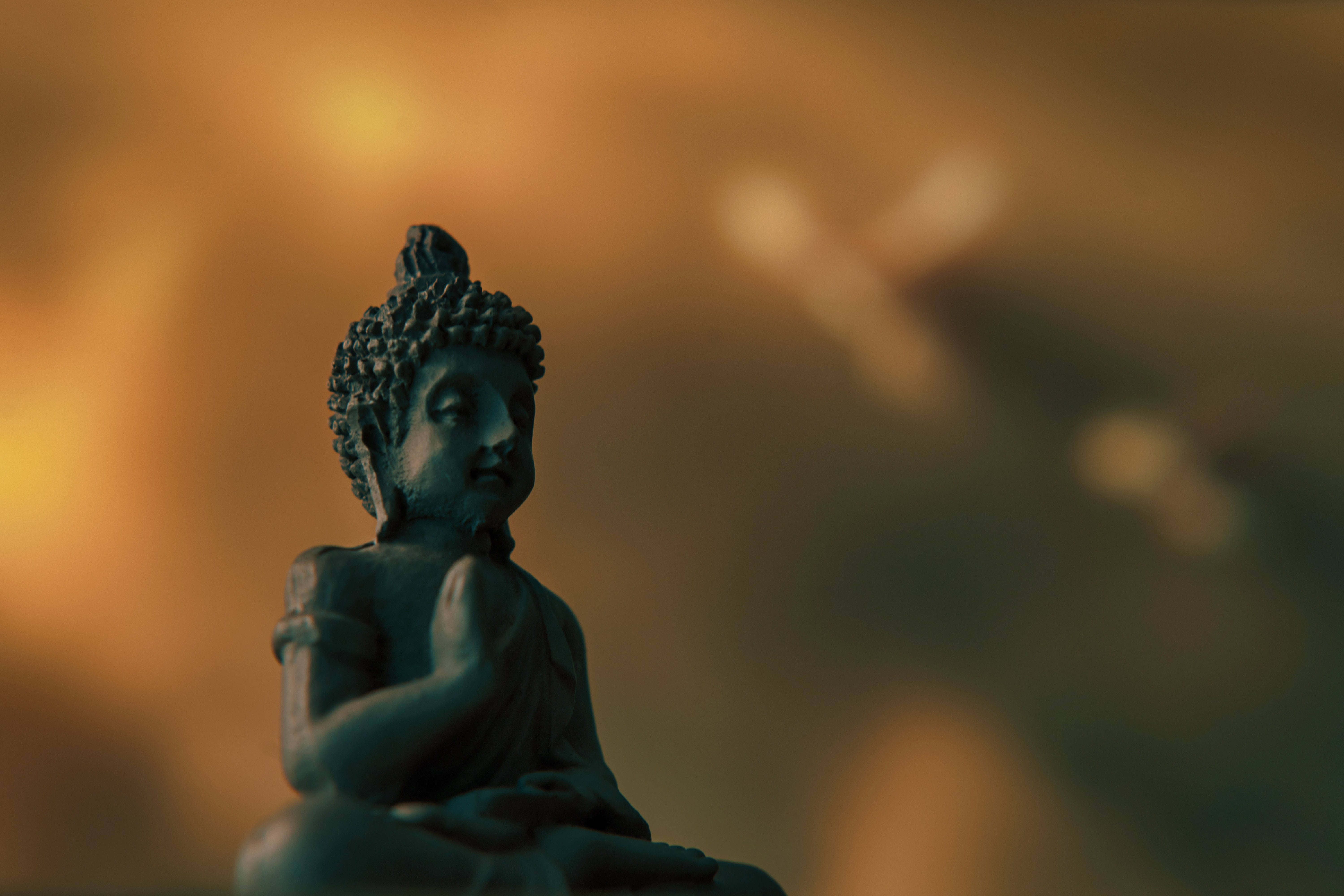 Download Meditating Buddha Focused Photography Wallpaper 