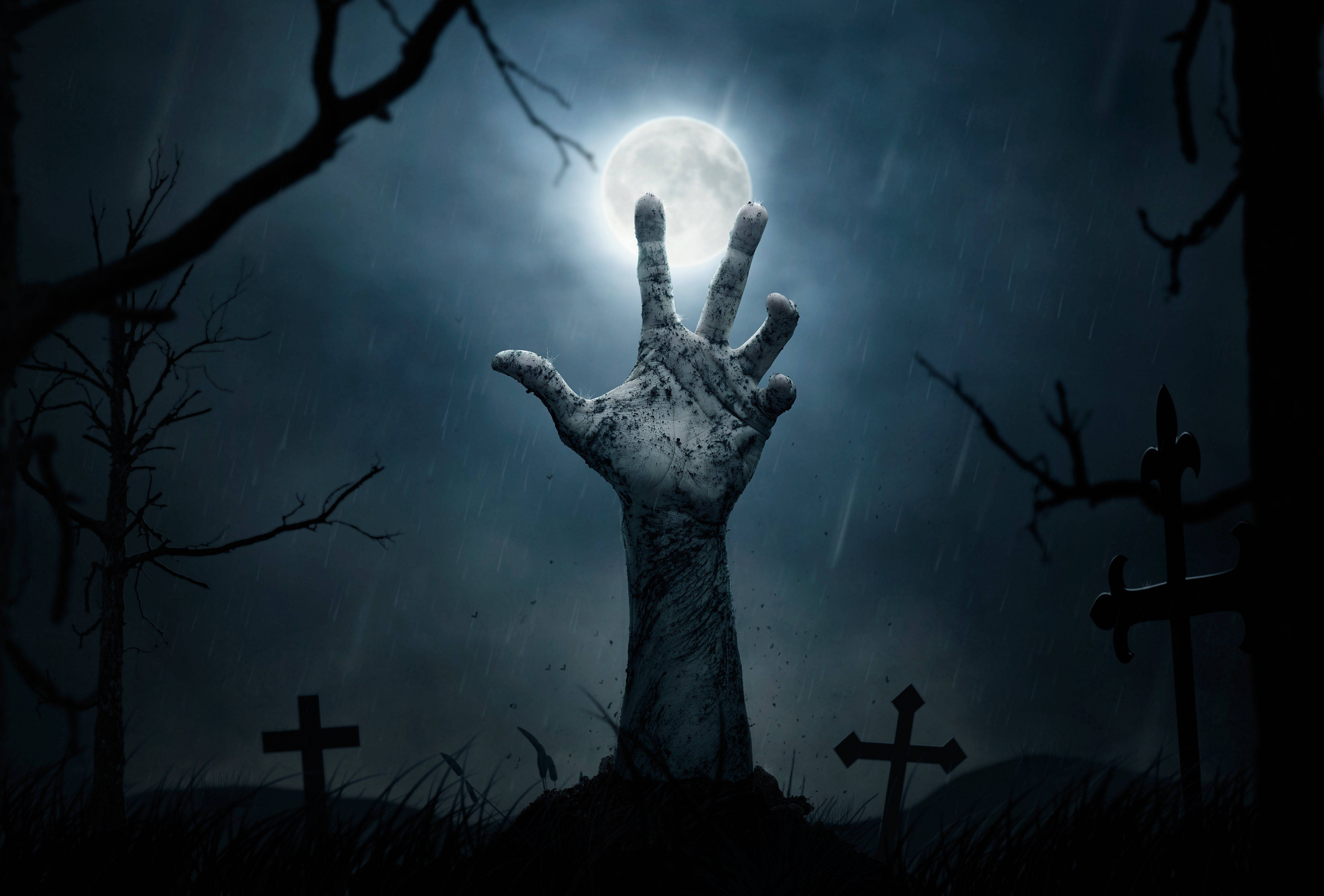 Download Zombie Wallpaper