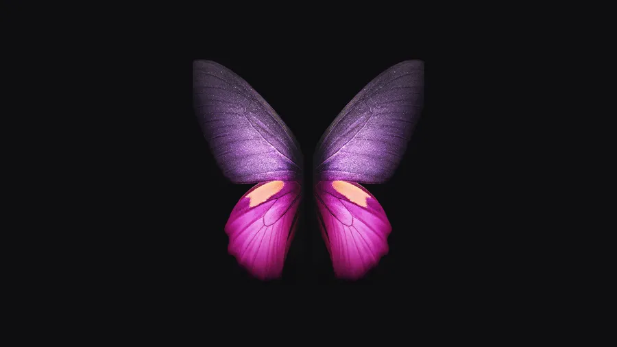 Pink Black