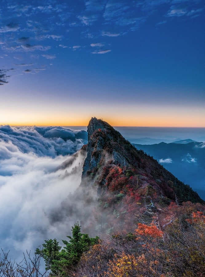 Aproveitea beleza do Parque Nacional Blue Mountains