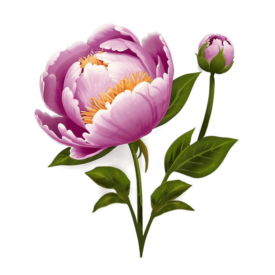 Peony Cricut Design Inspiration PNG 06282024