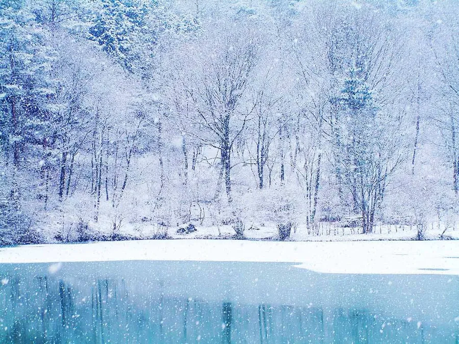 Snow Desktop