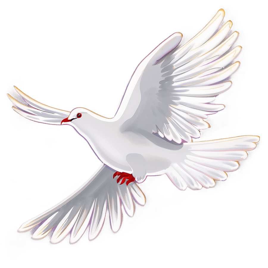 White Dove Outline PNG bbj