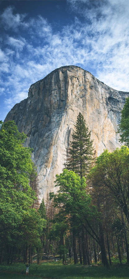 Nyd skønheden af Yosemite Nationalpark på din iPhones tapet.