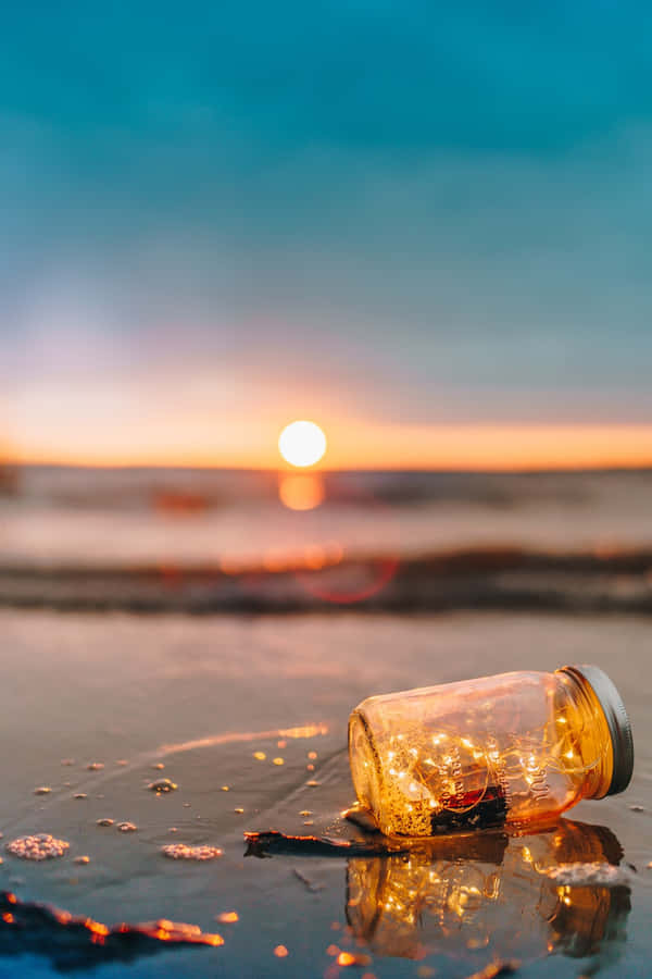 firefly Pictures 1000 x 1499