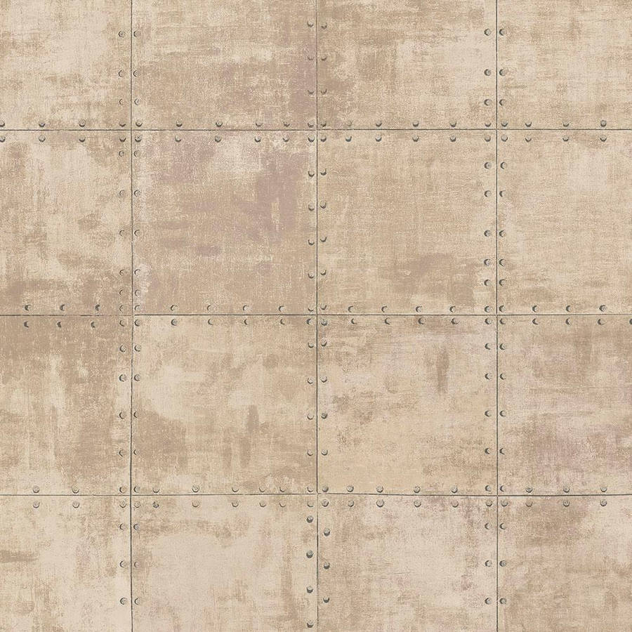 "GrungeMetal Plate In Tan Aesthetic" would be translated to "Grunge metallplatta i tan-estetik" in Swedish. Detta kan användas som en beskrivning av en datormobil tapet eller bakgrundsbild med en rustik metalloppfattning i en ljusbrun estetik.