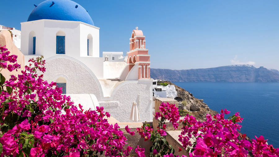 "Bougainvilleablommar vid sjön" (This would be a caption for a wallpaper depicting a beautiful picture of bougainvillea blooming by a lake. The sentence simply translates to "Bougainvillea blooms by the lake.")