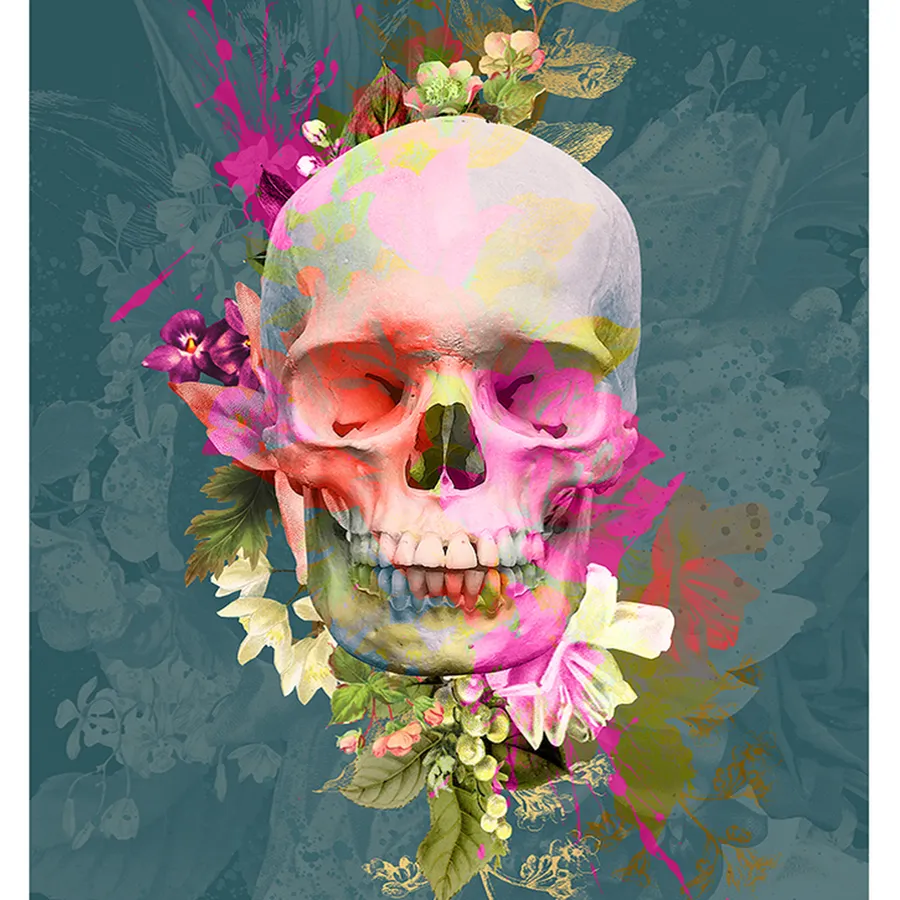 Skull pictures