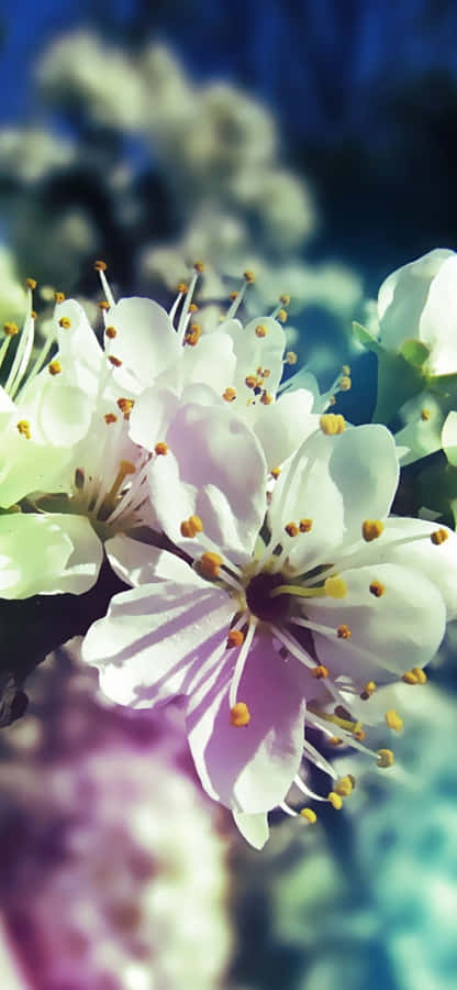 "Umavívida paisagem de primavera para o seu Pixel 3."