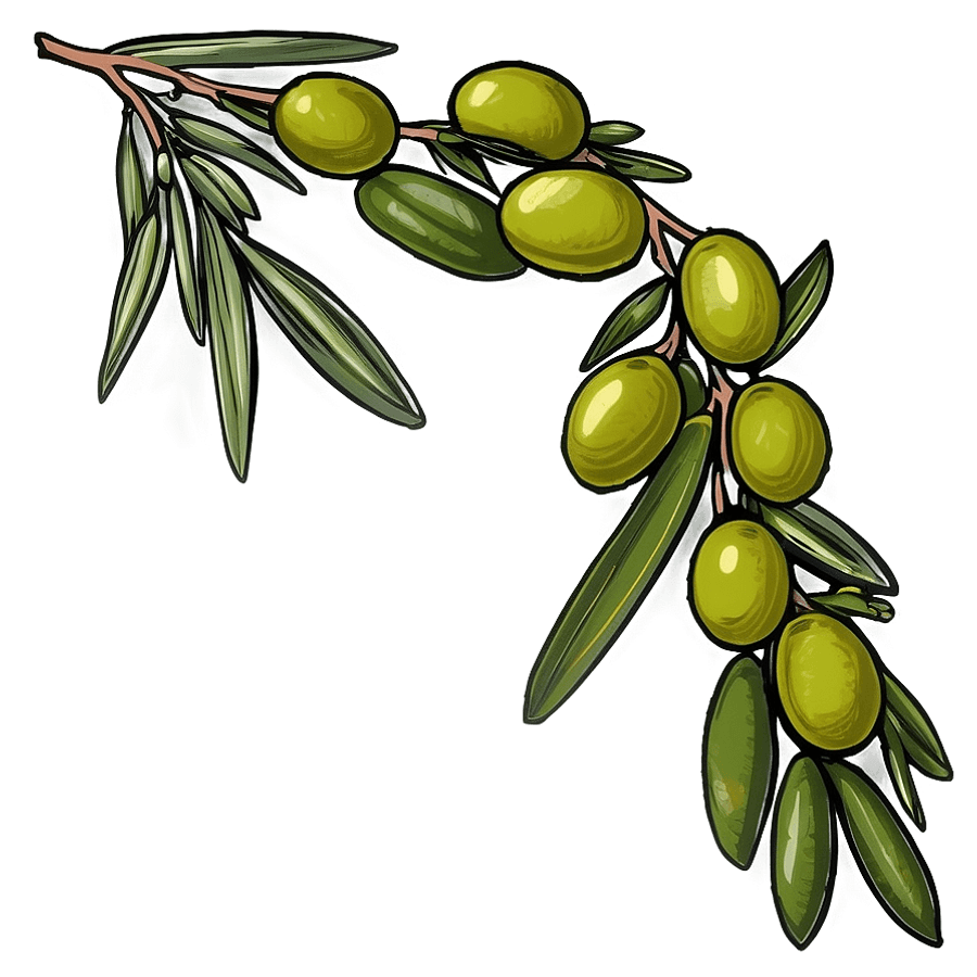 Cartoon Olive Branch PNG 05252024